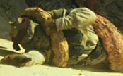 Baradas Tod.jpg