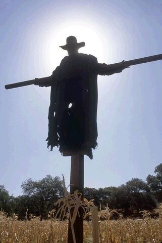 File:Scarecrow.jpg