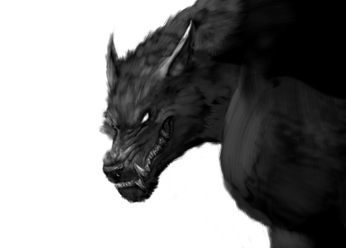 Hw