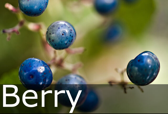 File:Berry caption.jpg