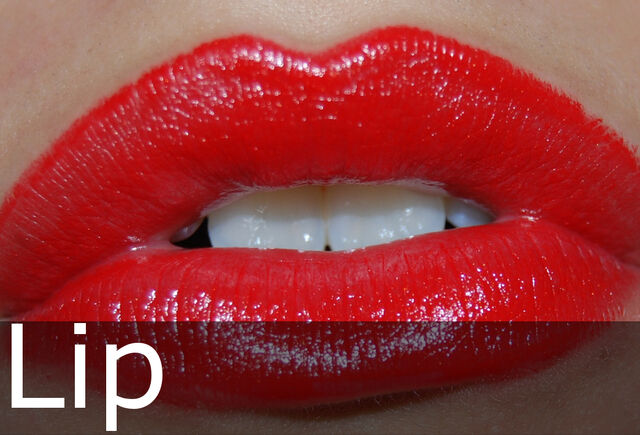 File:Lip caption.jpg