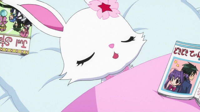 File:Ruby's sleeping.jpg