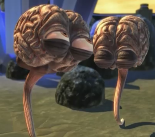 The Brains Incredible Journey A 300 Expansion Since Australopithecines - inwyli6