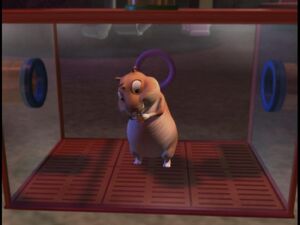 Mr. Wiggles