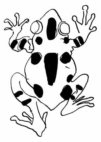 File:SO Chapter 49 Tailpiece.png