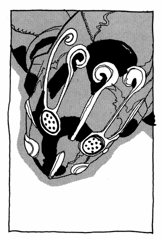 File:Chapter 406 Tailpiece.png