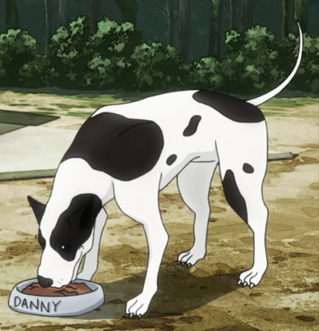 File:DannyA.png