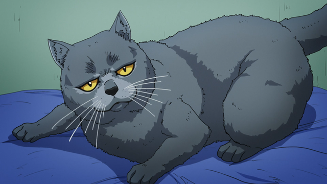 File:Tama annoyed.png