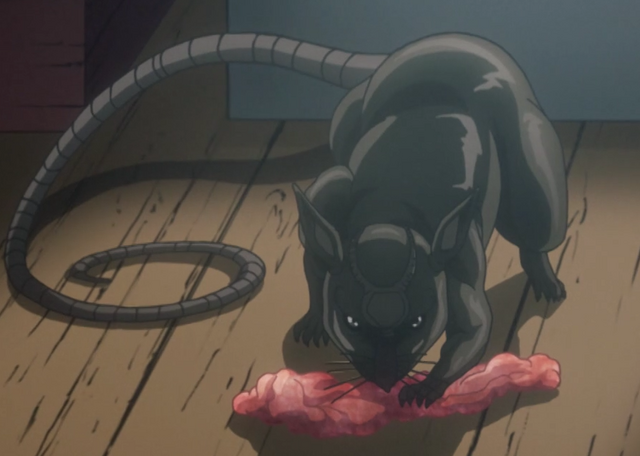 File:Rat AV.png