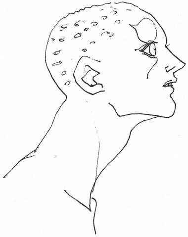 File:Maxx1.jpg