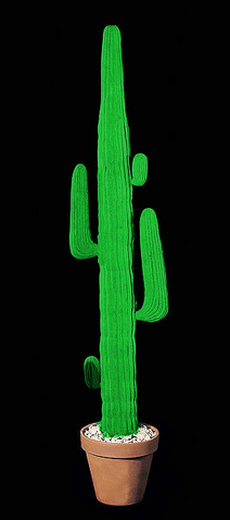 File:Cactus.png