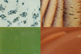 Barnavelt House marble types
