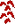 GlyphN