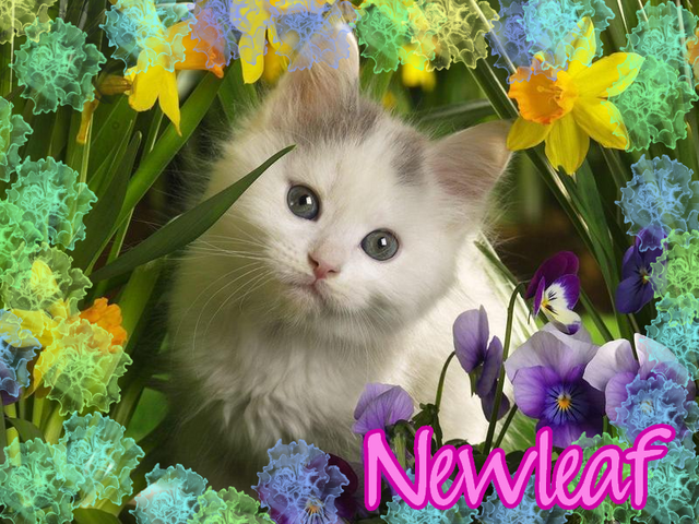 File:Newleaf.png