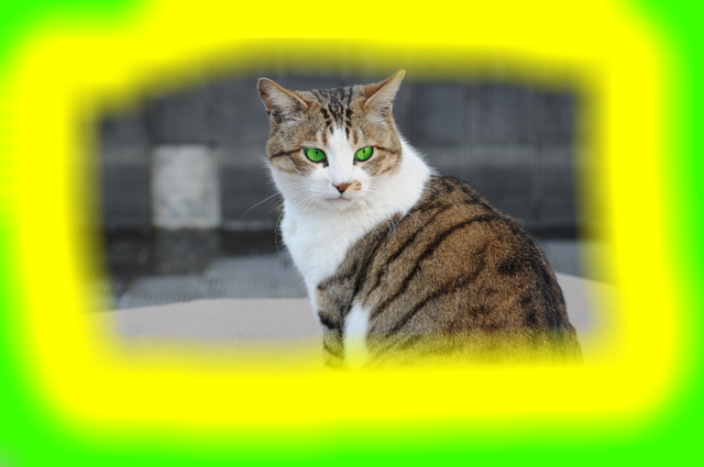 File:Shadeclaw.png
