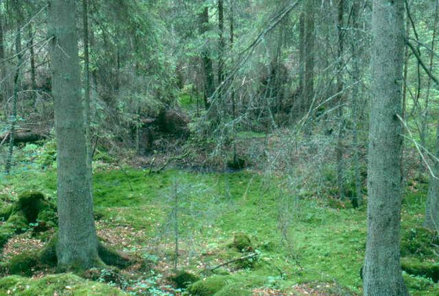 File:Training Hollow.jpg