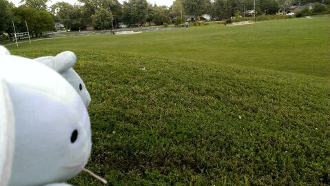Buddy and Hop Outside
