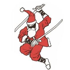 Ninja-christmas