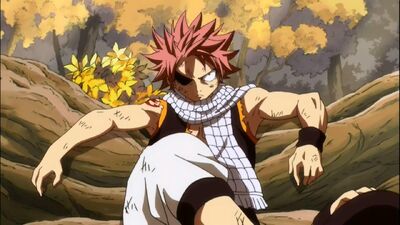 DBH Natsu