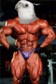 Jay-cutler-workout-routine-diet-plan