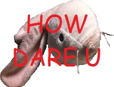 How dare you