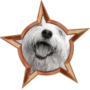 File:Badge-edit-2.png