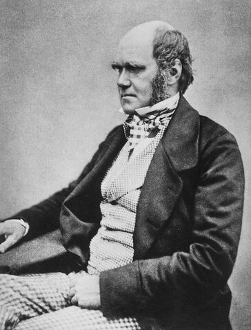 File:Charlesdarwin.jpg