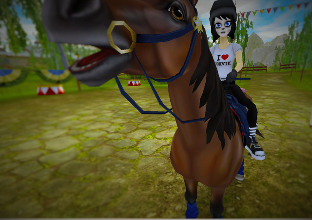 File:StarStable27.png