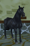 Must.png