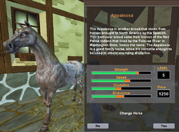 Appaloosa
