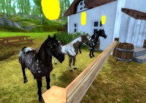 Newest Paint Horses on Star Stable Online