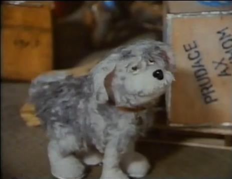 File:Fairportthedog 2.JPG