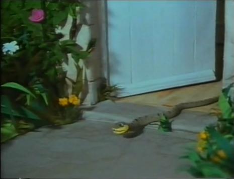 File:Snake 2.JPG