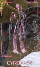 Cyrollan