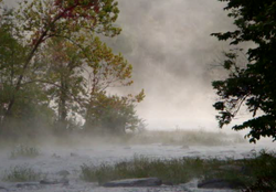 FoggyRiver