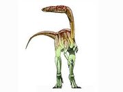 Segisaurus JPI-1-
