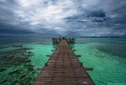 South dock