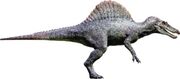 Femalespino