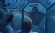 Pteranodon Sorna