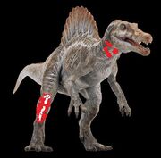 Wounded spino t99