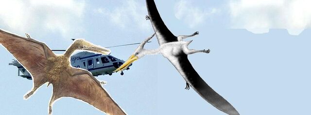 File:Harassment by pterosaurs.jpg