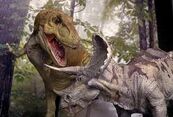 Rexvtrike