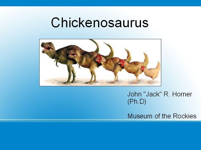 File:Lectureslide.jpg