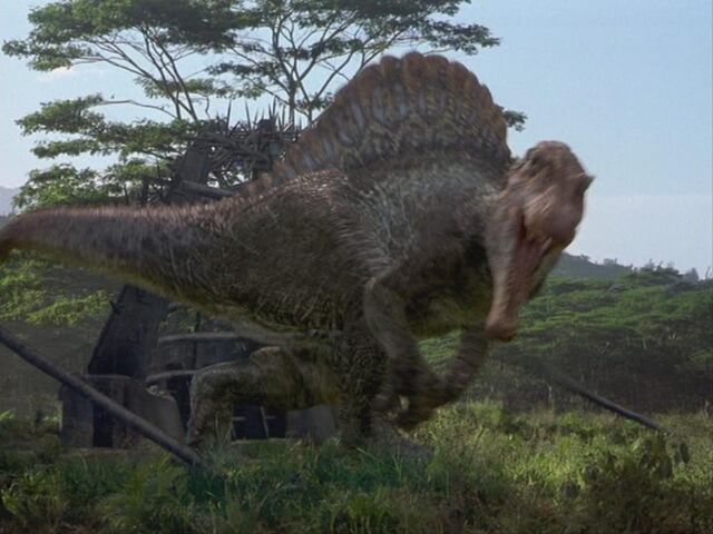 File:Spino02.jpg