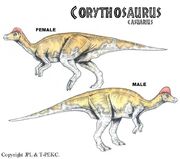 Corythosaurus