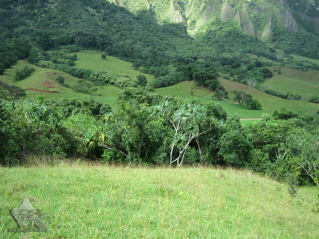 File:3195 large.jpg