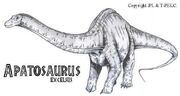 Apatosaurus
