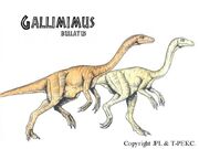 Gallimimus2