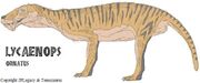Lycaenops