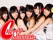 20130516 cherry blossom 01